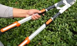 Kéo bấm cành trên cao: Công dụng, cấu tạo và hướng dẫn sử dụng