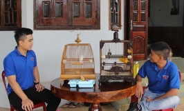 Làm giàu từ nuôi chim cảnh sinh sản