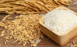Giá lúa gạo hôm nay 13/1: Ổn định trở lại sau nhiều ngày biến động