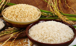 Tăng vựa lúa toàn cầu mà không gây hại cho hành tinh