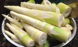 Doanh nghiệp Thụy Điển cần mua măng đóng hộp