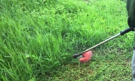 Nguyên nhân và cách khắc phục hiện tượng máy cắt cỏ 2 thì không nổ khi khởi động