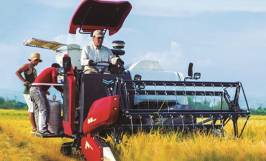 Máy gặt Yanmar yh850 giá bao nhiêu? 
