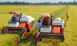 Máy nông nghiệp là gì? Các loại máy móc nông nghiệp phổ biến