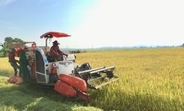 Máy thu hoạch lúa: công dụng, cấu tạo và nguyên lý hoạt động 