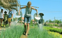 Các mô hình nông nghiệp hiệu quả cao nên áp dụng