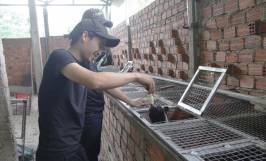 Khởi nghiệp với mô hình nuôi chồn hương 