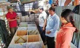Lão nông phát triển mô hình nuôi con Dúi thu lợi nhuận cao 