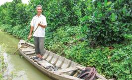 Xây dựng mô hình trồng cây ăn quả kết hợp nuôi cá hiệu quả