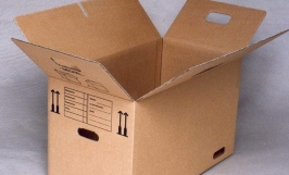 Vị khách hàng đến từ UAE đang cần tìm nhà cung cấp sản phẩm thùng giấy