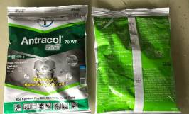 Các loại thuốc trị nấm hại cây trồng hiệu quả 