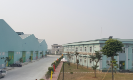 Công ty Cổ phần phân bón Bình Điền
