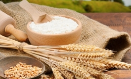 Thương vụ xuất khẩu bột mì sang thị trường Đức