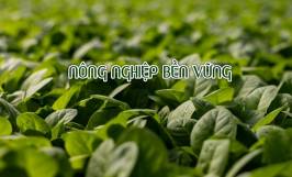 Mục tiêu và vai trò của nông nghiệp bền vững là gì?