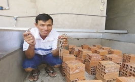 Mô hình nuôi rắn mối kiếm kiếm từ triệu của thầy giáo thể dục miền Tây