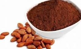 (Gấp) Cơ hội hợp tác xuất khẩu bột ca cao dài hạn đến thị trường Georgia
