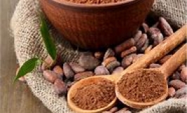 Thương vụ hợp tác xuất khẩu bột cacao sang thị trường Nga