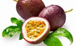 Cơ hội hợp tác với doanh nghiệp tại Hồng Kông cho đơn hàng chanh leo