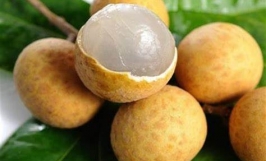 Cơ hội trở thành nhà cung cấp cho đơn hàng xuất khẩu quả nhãn sang thị trường Mỹ