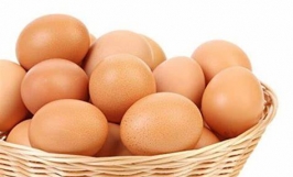 Cơ hội trở thành nhà cung cấp cho đơn hàng xuất khẩu trứng gà sang thị trường Nga
