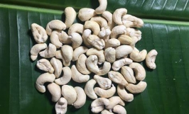 Cơ hội hợp tác với doanh nghiệp tại Hà Lan cho đơn hàng hạt điều