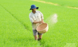 Khủng hoảng phân bón làm suy yếu ngành nông nghiệp