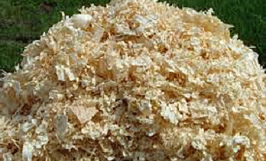 Câu lạc bộ cưỡi ngựa tại Ả Rập Xê-út đang cần tìm nhà cung cấp dăm bào để nhập lâu dài