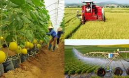 Hiệu quả từ việc ứng dụng CNTT trong nông nghiệp
