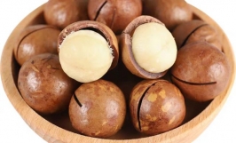 Cơ hội hợp tác với doanh nghiệp ở Tây Ban Nha cho đơn hàng xuất khẩu hạt macca