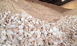 Cơ hội hợp tác với doanh nghiệp tại Hàn Quốc cho đơn hàng xuất khẩu số lượng lớn mặt hàng sắn lát đến thị trường Trung Quốc