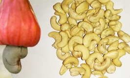 Đối tác đến từ Maroc cần tìm nhà cung cấp mặt hàng hạt điều