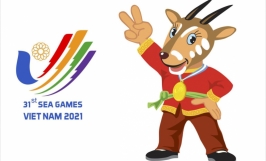 Tìm hiểu về Sao la - Linh vật Sea game 31