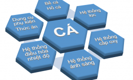 Công Ty TNHH Thương Mại & XNK Hải Tùng