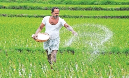 Sri Lanka: Từ bỏ hoàn toàn hóa chất sẽ khiến sản lượng nông nghiệp giảm mạnh