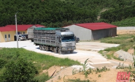 20 dự án lĩnh vực nông nghiệp được chấp nhận chủ trương đầu tư