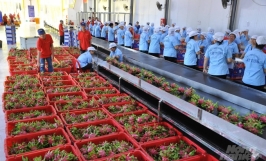 Cần thay đổi tư duy để chinh phục thị trường nông sản