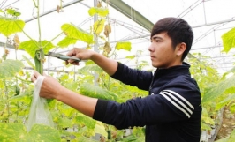 Phấn đấu mỗi HTX thanh niên là một doanh nghiệp ứng dụng công nghệ số