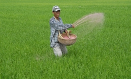 Thị trường vật tư nông nghiệp: Đủ chiêu trò gian lận
