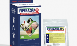 Thuốc Piperazin điều trị bệnh giun sán ở gà - Thành phần, công dụng, cách sử dụng