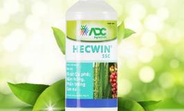 Tìm hiểu các loại thuốc trị bệnh phấn trắng trên cây cao su hiệu quả 