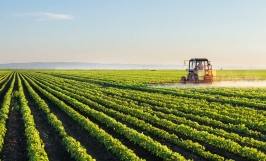 Thuốc trừ cỏ Glyphosate - Ưu nhược điểm và ảnh hưởng của thuốc trừ cỏ Glyphosate