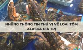 Những thông tin thú vị về loại tôm Alaska giá trị