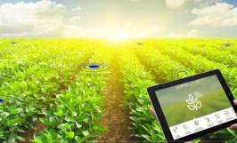 Top 4 app nông nghiệp được tin dùng nhất năm 2023