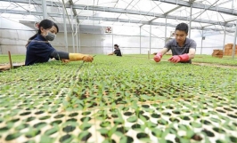 Gỡ khó để phát triển hợp tác xã