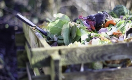 Chế phẩm sinh học compost maker nguyên liệu không thể thiếu khi ủ phân bón hữu cơ
