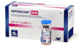 Vacxin apv cho gà - thành phần, công dụng và cách sử dụng