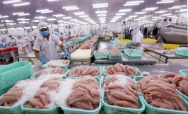 Tăng cường xúc tiến thương mại xuất khẩu thủy sản Việt Nam sang thị trường EU từ nay đến 2025