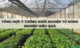 Tổng hợp các ý tưởng khởi nghiệp từ nông nghiệp hiệu quả nhất năm 2023