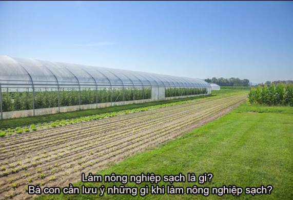 Những điều cần biết khi làm nông nghiệp sạch