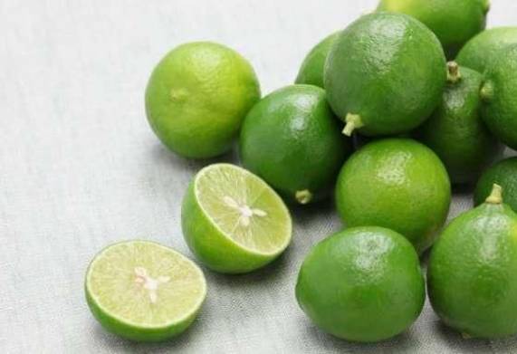 Cơ hội hợp tác với vị thương nhân đến từ Ả Rập Xê Út cho đơn hàng xuất khẩu chanh